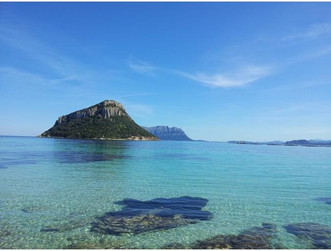 Anteprima foto 1 - Affitto Appartamento Vacanze da Privato a Golfo Aranci (Olbia-Tempio)