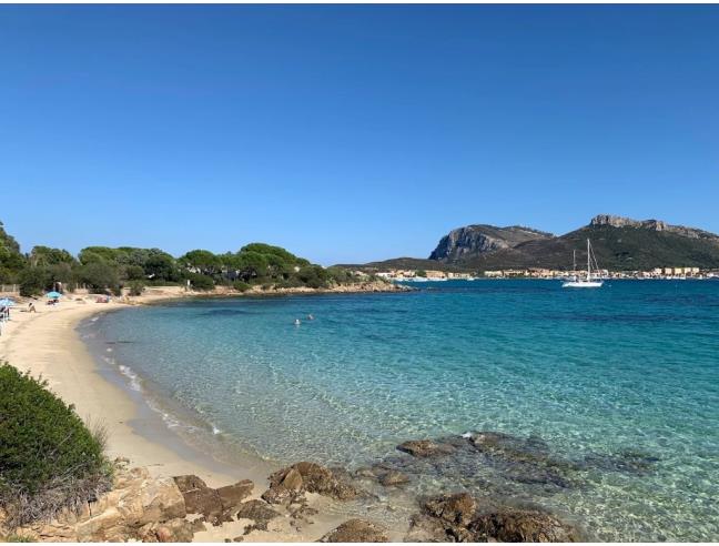 Anteprima foto 3 - Affitto Appartamento Vacanze da Privato a Golfo Aranci (Sassari)