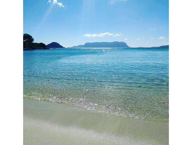 Anteprima foto 8 - Affitto Appartamento Vacanze da Privato a Golfo Aranci (Sassari)