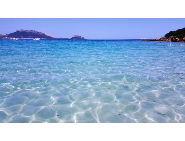 Anteprima foto 8 - Affitto Appartamento Vacanze da Privato a Golfo Aranci (Sassari)