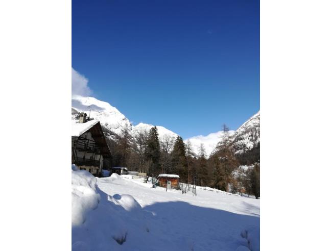 Anteprima foto 2 - Affitto Appartamento Vacanze da Privato a Gressoney-Saint-Jean - Bieltschocke