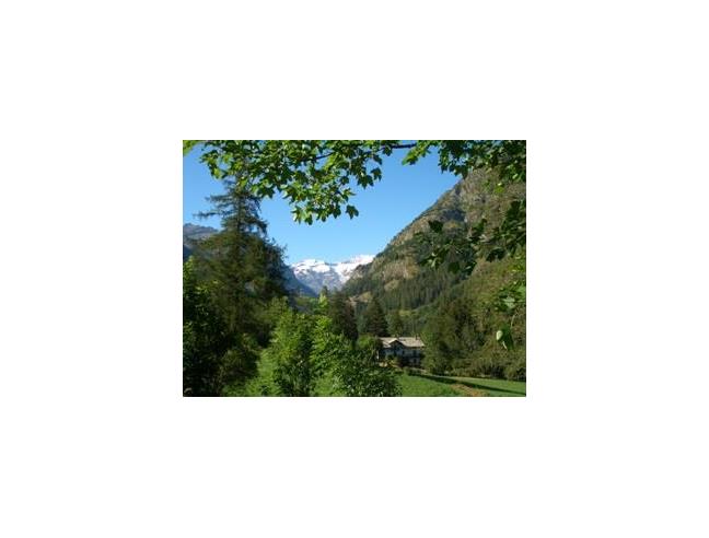 Anteprima foto 2 - Affitto Appartamento Vacanze da Privato a Gressoney-Saint-Jean - Bieltschocke