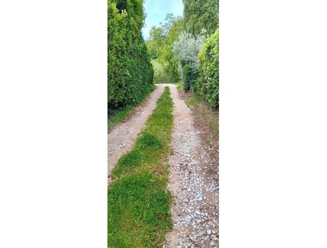 Anteprima foto 2 - Affitto Appartamento Vacanze da Privato a Greve in Chianti (Firenze)