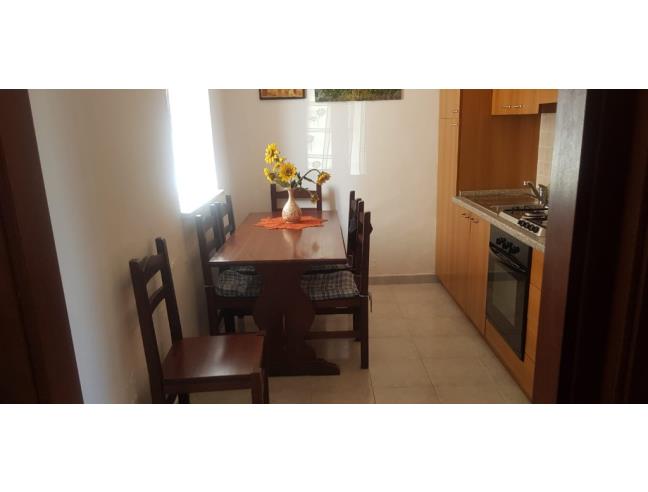 Anteprima foto 2 - Affitto Appartamento Vacanze da Privato a Grisolia (Cosenza)