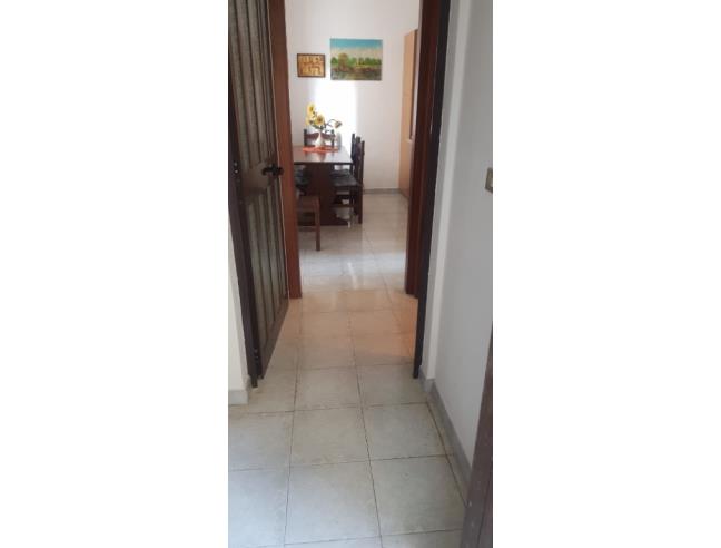 Anteprima foto 6 - Affitto Appartamento Vacanze da Privato a Grisolia (Cosenza)