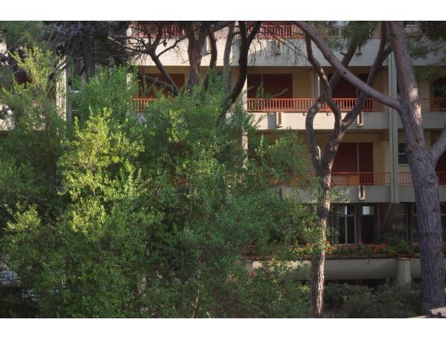 Anteprima foto 5 - Affitto Appartamento Vacanze da Privato a Grosseto - Principina A Mare