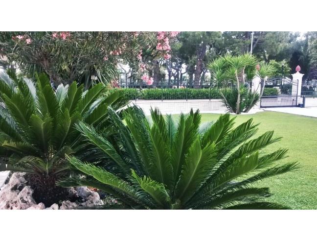 Anteprima foto 2 - Affitto Appartamento Vacanze da Privato a Grottammare (Ascoli Piceno)