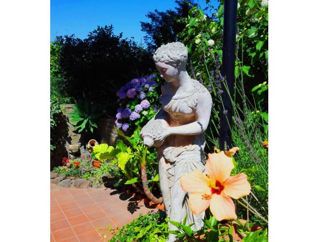 Anteprima foto 6 - Affitto Appartamento Vacanze da Privato a Ischia (Napoli)