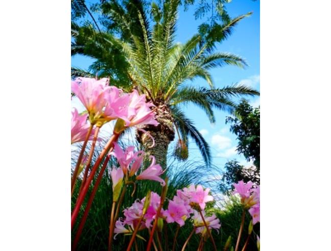 Anteprima foto 7 - Affitto Appartamento Vacanze da Privato a Ischia (Napoli)