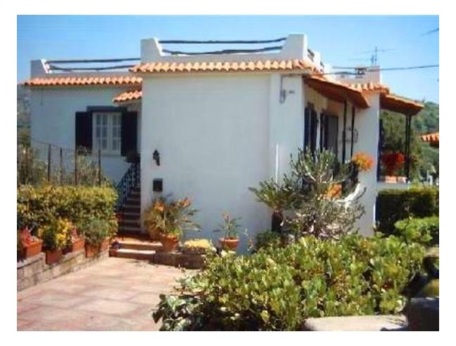 Anteprima foto 8 - Affitto Appartamento Vacanze da Privato a Ischia (Napoli)