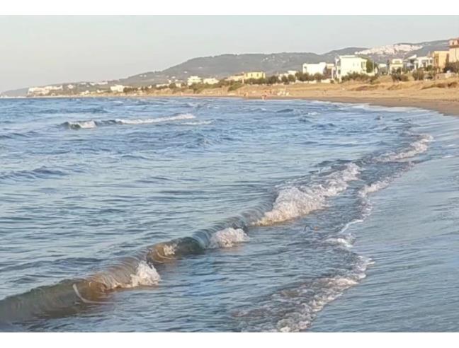 Anteprima foto 8 - Affitto Appartamento Vacanze da Privato a Ischitella - Foce Varano