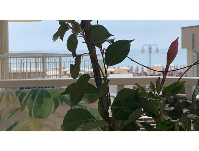 Anteprima foto 5 - Affitto Appartamento Vacanze da Privato a Jesolo (Venezia)
