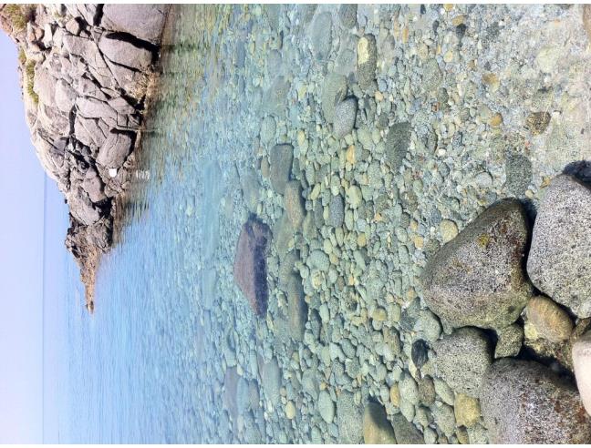 Anteprima foto 5 - Affitto Appartamento Vacanze da Privato a Joppolo - Coccorino