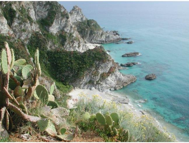 Anteprima foto 6 - Affitto Appartamento Vacanze da Privato a Joppolo - Coccorino