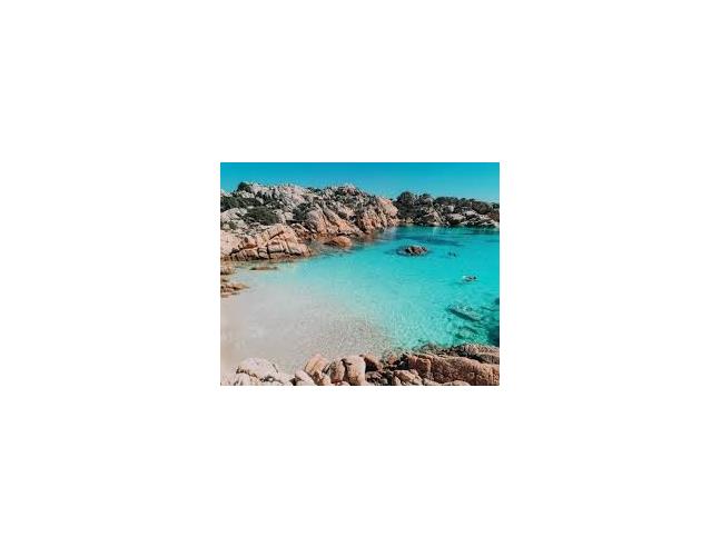 Anteprima foto 1 - Affitto Appartamento Vacanze da Privato a La Maddalena (Olbia-Tempio)