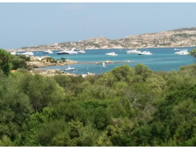 Anteprima foto 4 - Affitto Appartamento Vacanze da Privato a La Maddalena (Sassari)