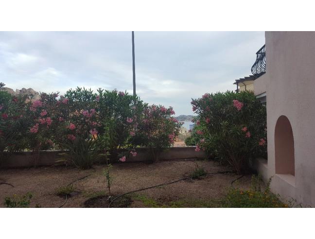 Anteprima foto 7 - Affitto Appartamento Vacanze da Privato a La Maddalena (Sassari)