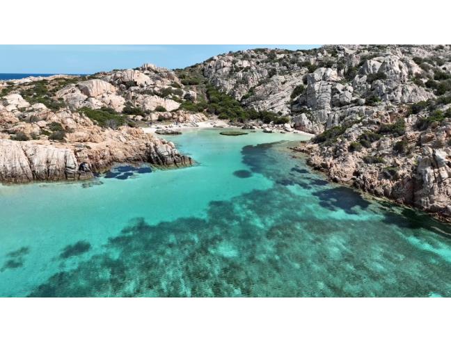 Anteprima foto 8 - Affitto Appartamento Vacanze da Privato a La Maddalena (Sassari)