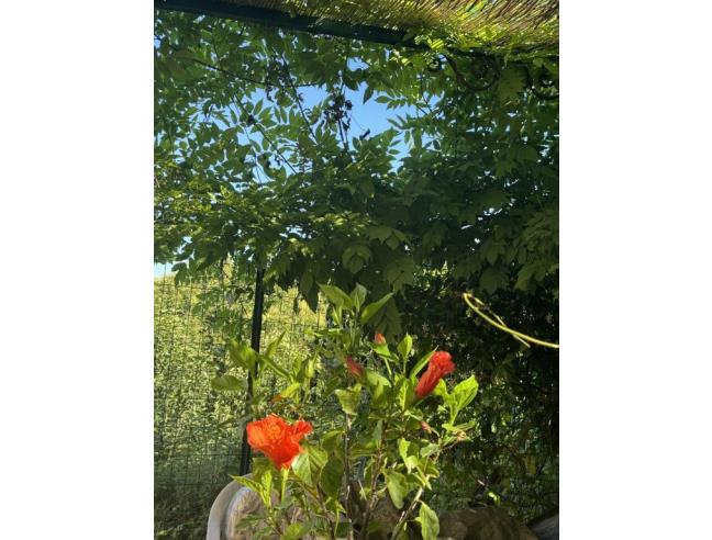 Anteprima foto 8 - Affitto Appartamento Vacanze da Privato a La Spezia - Litoranea