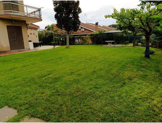 Anteprima foto 1 - Affitto Appartamento Vacanze da Privato a Ladispoli - Marina San Nicola