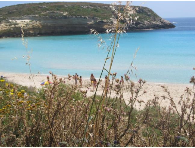 Anteprima foto 3 - Affitto Appartamento Vacanze da Privato a Lampedusa e Linosa - Lampedusa