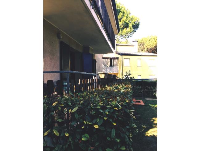 Anteprima foto 4 - Affitto Appartamento Vacanze da Privato a Lignano Sabbiadoro - Lignano Pineta