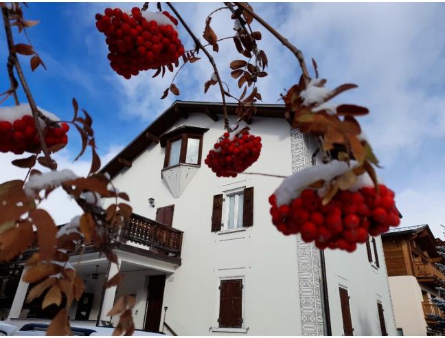 Anteprima foto 1 - Affitto Appartamento Vacanze da Privato a Livigno (Sondrio)