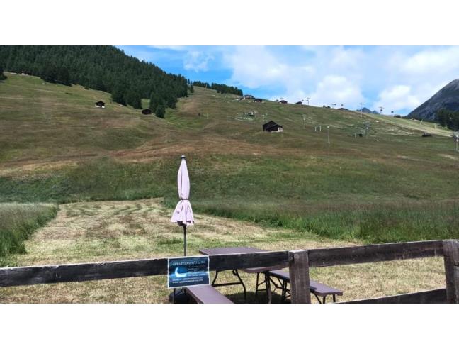 Anteprima foto 3 - Affitto Appartamento Vacanze da Privato a Livigno (Sondrio)