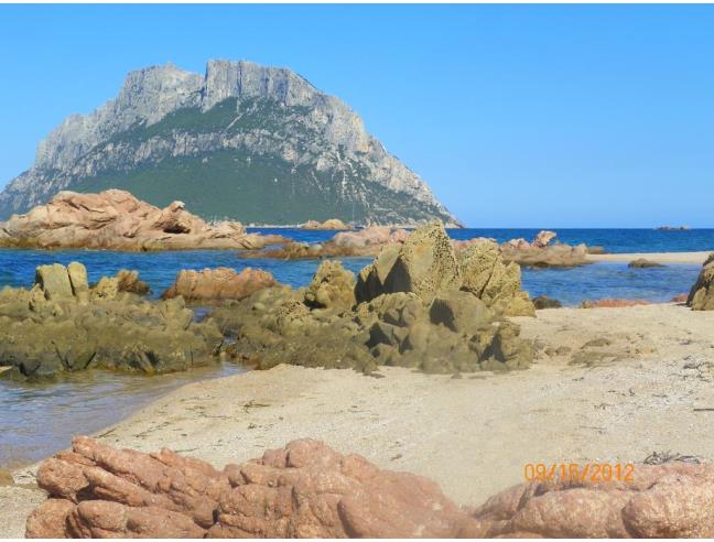 Anteprima foto 8 - Affitto Appartamento Vacanze da Privato a Loiri Porto San Paolo - Porto San Paolo