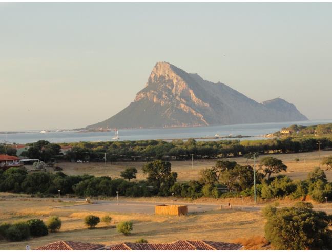 Anteprima foto 7 - Affitto Appartamento Vacanze da Privato a Loiri Porto San Paolo - Vaccileddi