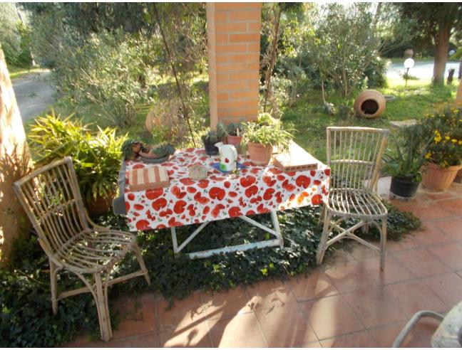 Anteprima foto 2 - Affitto Appartamento Vacanze da Privato a Magliano in Toscana - Montiano