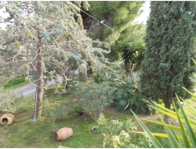 Anteprima foto 8 - Affitto Appartamento Vacanze da Privato a Magliano in Toscana - Montiano