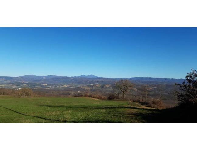 Anteprima foto 6 - Affitto Appartamento Vacanze da Privato a Manciano - Poderi