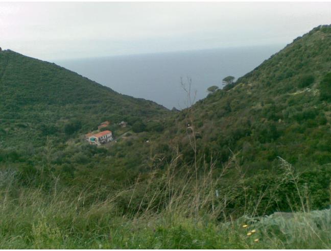 Anteprima foto 2 - Affitto Appartamento Vacanze da Privato a Marciana - Colle D'orano