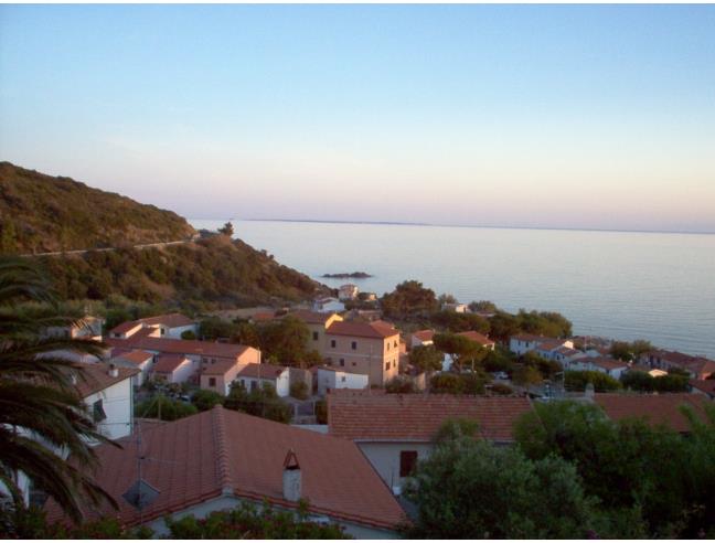 Anteprima foto 7 - Affitto Appartamento Vacanze da Privato a Marciana - Pomonte