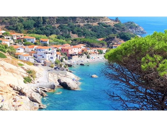 Anteprima foto 8 - Affitto Appartamento Vacanze da Privato a Marciana - Pomonte