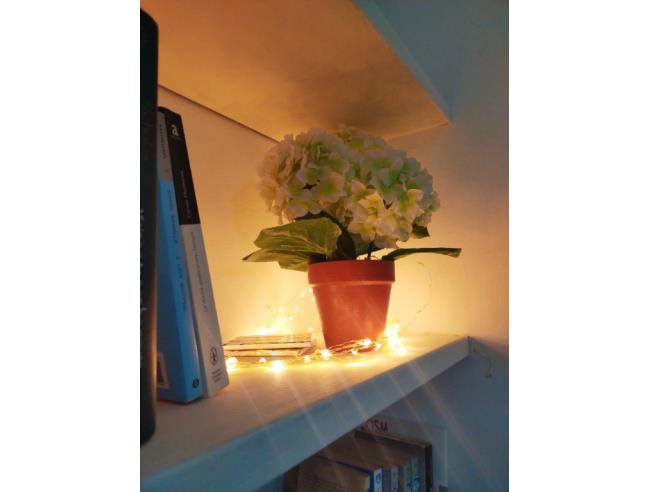 Anteprima foto 5 - Affitto Appartamento Vacanze da Privato a Marsala (Trapani)