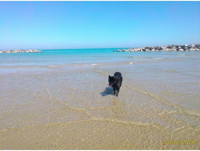 Anteprima foto 2 - Affitto Appartamento Vacanze da Privato a Martinsicuro (Teramo)