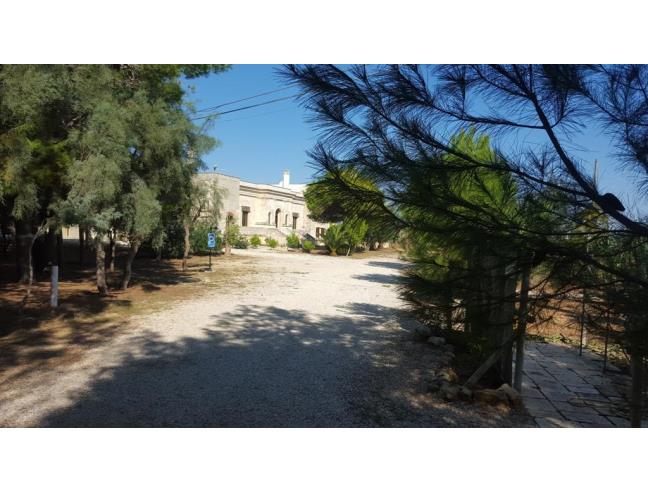 Anteprima foto 6 - Affitto Appartamento Vacanze da Privato a Maruggio - Campomarino