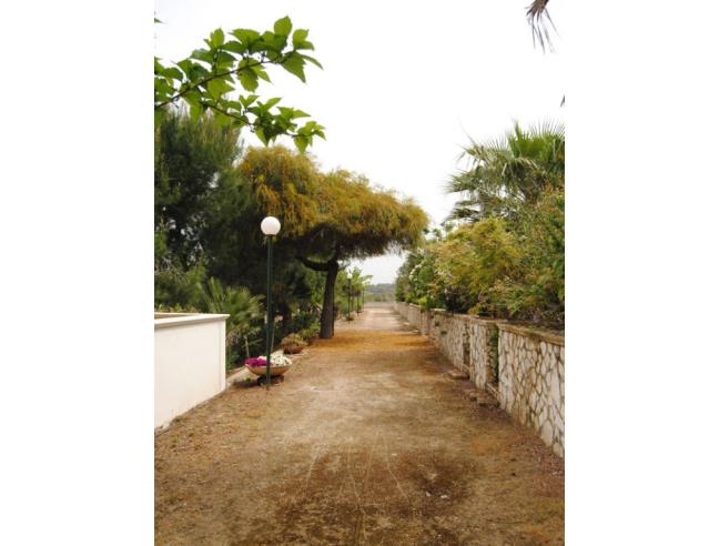 Anteprima foto 8 - Affitto Appartamento Vacanze da Privato a Maruggio - Campomarino