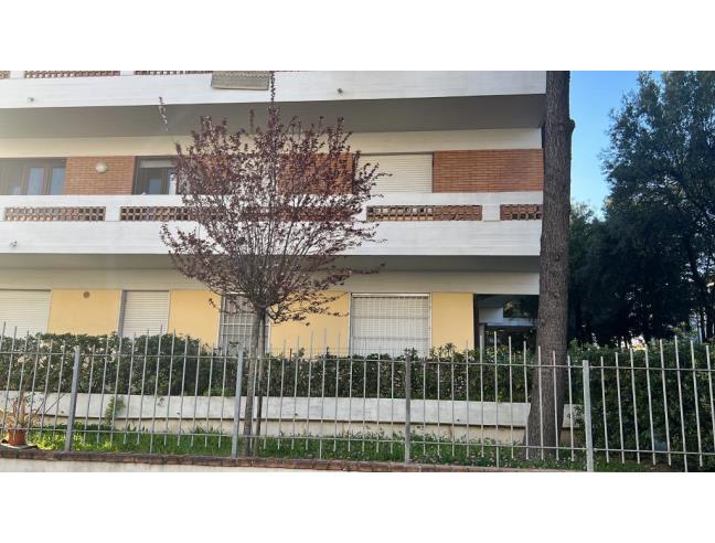 Anteprima foto 1 - Affitto Appartamento Vacanze da Privato a Massa - Marina Di Massa