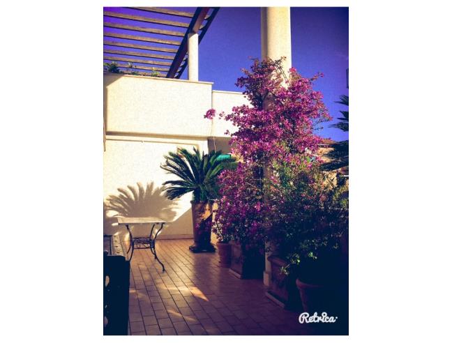 Anteprima foto 1 - Affitto Appartamento Vacanze da Privato a Massa - Marina Di Massa