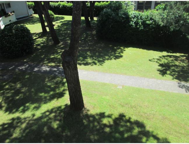 Anteprima foto 3 - Affitto Appartamento Vacanze da Privato a Massa - Marina Di Massa