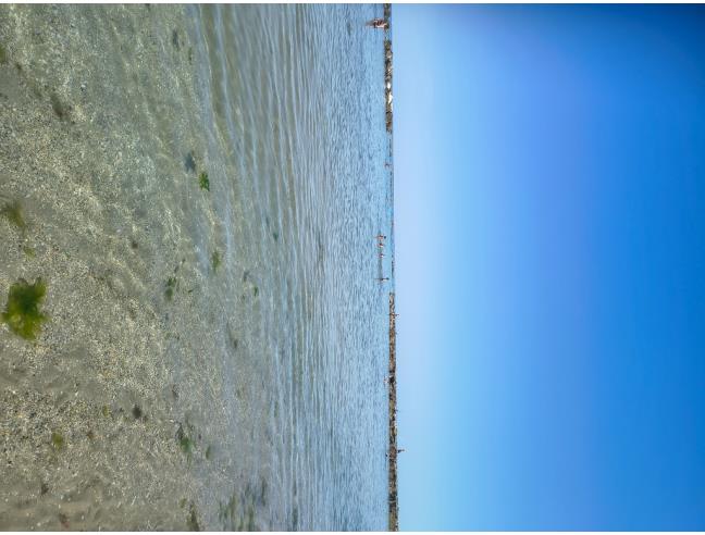 Anteprima foto 6 - Affitto Appartamento Vacanze da Privato a Massignano (Ascoli Piceno)
