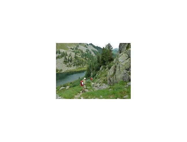 Anteprima foto 2 - Affitto Appartamento Vacanze da Privato a Mezzana - Marilleva 1400