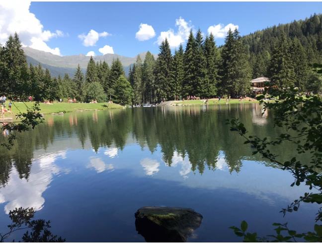 Anteprima foto 3 - Affitto Appartamento Vacanze da Privato a Mezzana - Marilleva 1400
