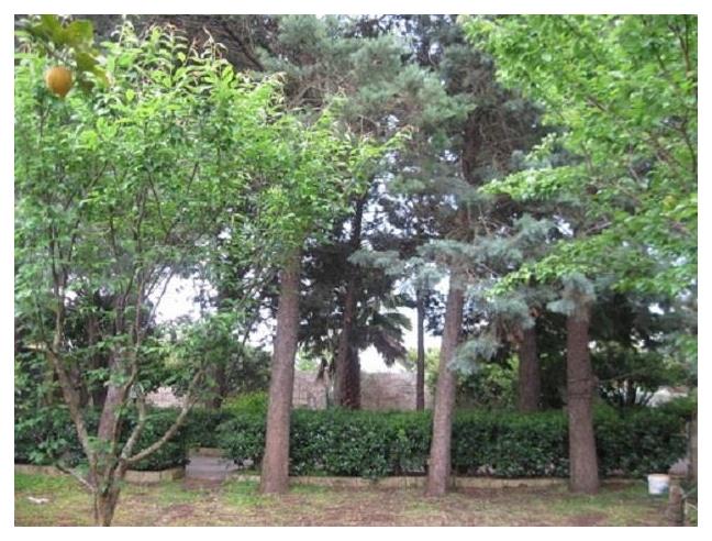 Anteprima foto 8 - Affitto Appartamento Vacanze da Privato a Miggiano (Lecce)