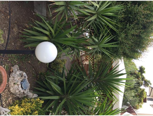 Anteprima foto 8 - Affitto Appartamento Vacanze da Privato a Mondolfo - Marotta