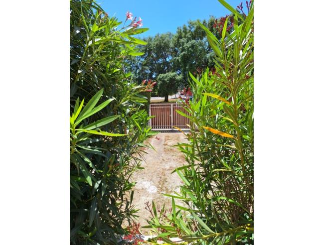 Anteprima foto 3 - Affitto Appartamento Vacanze da Privato a Montalto di Castro - Montalto Marina