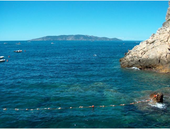 Anteprima foto 2 - Affitto Appartamento Vacanze da Privato a Monte Argentario - Porto Santo Stefano